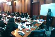 کارگاه تکمیلی نیازسنجی سلامت جامعه برگزار شد 
