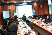 برگزاری کارگاه بررسی مرگ‌های مادر باردار تحت پوشش دانشگاه در سال 1396