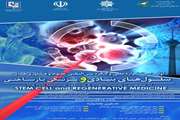 اولین جشنواره ملی و کنگره بین‌المللی علوم و فناوری‌های سلول‌های بنیادی و پزشکی بازساختی برگزار می‌شود