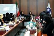 برگزاری جلسه آموزشی، توجیهی برنامه مادران واحد سلامت خانواده شهرستان اسلامشهر