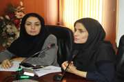 برگزاری جلسه هماهنگی مرکز بهداشت جنوب تهران با کارشناسان شرکت مپنا
