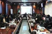 کارگاه آموزشی اختلالات شایع در دوران سالمندی برگزار شد