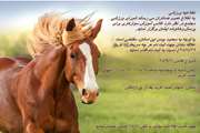 برگزاری کلاس آموزش سوار کاری در مجتمع بیمارستانی امام خمینی (ره)