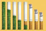 دخانیات؛ افزایش مالیات، کاهش مرگ و بیماری
