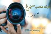 کارگاه عکاسی سیمرغ ویژه جشنواره فرهنگی وزارت بهداشت برگزار می شود