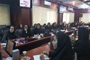 برگزاری کارگاه ارزیابی بارداری‌های پرخطر در شهرستان اسلامشهر