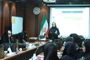 برگزاری کارگاه آموزشی با موضوع نوجوان سالم برای بهورزان خانه‌های بهداشت شهرستان اسلامشهر