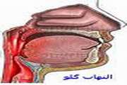 برگزار ی کنفرانس با موضوع فارنژیت دربیمارستان ضیائیان