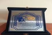 TUMS Chosen as Top University at Razes Medical Research Festival for the Tenth Consecutive Year