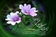 گوشه‏هایى از زندگى قرآنى و شفاعت  امام حسن مجتبى علیه‏السلام