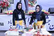 برگزیدگان چهارمین جشنواره غذای دانشجویان معرفی شدند