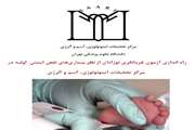 راه‌اندازی آزمون غربالگری نوزادان ازنظر بیماری‌های نقص ایمنی اولیه در مرکز تحقیقات ایمونولوژی، آسم و آلرژی