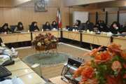 برگزاری کارگاه یک روزه کاربرد ICF در دسته بندی پیامدهای بیماری در دانشکده پیراپزشکی