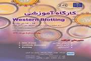 کارگاه آموزشی و عملی آنالیز پروتئین  (Western Blot) ویژه دانشجویان و محققین  برگزار خواهد شد