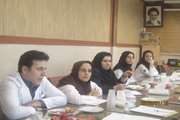 برگزاری جلسه اعتبار بخشی با هدف ارتقای درجه اعتباربخشی در بیمارستان امیراعلم