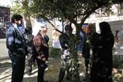 بازدید مسئولین دانشکده توانبخشی از نمایشگاه پوسترهای علمی دانشجویی
