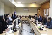 جلسه هماهنگی مدیریت امور مالی دانشگاه با شرکت های پشتیبان سیستم اطلاعات بیمارستان