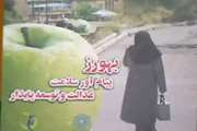 روز بهورز بر کلیه بهورزان به خصوص بهورزان شاغل درشبکه بهداشت و درمان شهرستان ری مبارک باد
