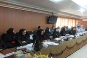 جلسه ماهانه بهورزان شبکه بهداشت شهرستان ری برگزار شد
