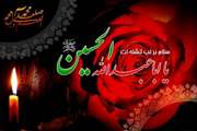 پیام تسلیت دکتر فاضل در آستانه فرا رسیدن عاشورای حسینی