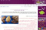 اخبار دانشگاه در رسانه/ رییس بخش داخلی بیمارستان امیر اعلم در گفت و گو با شفاف هشدار داد پیوند عضو، پایان کار کبد چرب