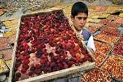 کشف کارگاه غیر مجاز تهیه و توزیع لواشک غیر بهداشتی  توسط کارشناسان بهداشت محیط شبکه ری