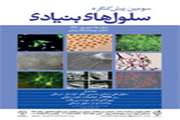 سومین پیش کنگره سلول‌های بنیادی شهریور‌ماه برگزار می‌شود