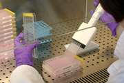 کنفرانس آزمایشات Toxicology در بیمارستان بهارلو برگزار شد