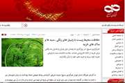 اخبار دانشگاه در رسانه/ حفاظت از محیط زیست با زنبیل های رنگی، سبدها و ساک های خرید