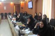 برگزاری جلسه ماهانه واحد پیشگیری و مبارزه با بیماری‌های شبکه بهداشت شهرستان ری