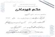 کسب مقام دوم توسط فرزند یکی از کارکنان شبکه بهداشت و درمان اسلامشهر در مسابقات شنا در سطح شهرستان اسلامشهر