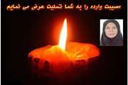 دکتر منزوی، درگذشت مرحومه دکتر بنفشه گلستان را به خانواده ایشان و اعضای هیت علمی دانشگاه،تسلیت گفت