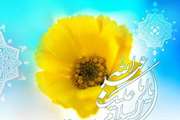 پیام تبریک شبکه بهداشت و درمان شهرستان ری به مناسبت اعیاد شعبانیه		