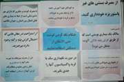 تهیه و توزیع تراکتهای آموزشی با موضوع بیماریهای مشترک بین انسان و حیوان درشبکه بهداشت و درمان شهرستان ری