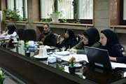 کمیته مرگ ومیر مادران در مجتمع بیمارستانی امام خمینی (ره) برگزار شد