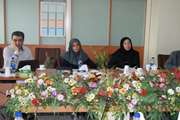 برگزاری جلسه تدوین راهنمای تعهد حرفه ای