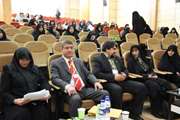 سمینار پیشگیری از رفتارهای پر خطر با همکاریهای بین رشته ای در نظام سلامت