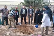اجرای مراسم درخت کاری در شبکه بهداشت و درمان شهرستان ری