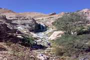 نخستین کوه گشت ویژه کارکنان و خانواده های آنان در مرکز بهداشت جنوب تهران