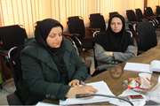 برگزاری کارگاه روش نحقیق در شبکه بهداشت و درمان شهرستان ری