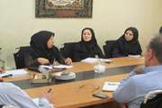 جلسه کارشناس مسئولان ستادی با مدیریت شبکه بهداشت شهرستان ری