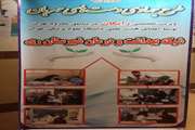 اجرای طرح چهادی دست های مهربان در شبکه بهداشت شهرستان شهرستان ری ( گالری عکس یک )