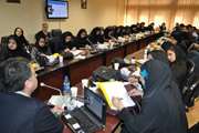 افتتاحیه پنجمین کارگاه منطقه ای جامع کارشناسان سلامت روان