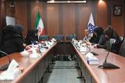 کمیته خود مراقبتی سازمانی در شبکه بهداشت و درمان اسلامشهر برگزار شد