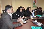 کارگاه همکاری بین بخشی در ارائه خدمات سلامت