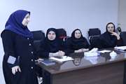 کمیته سلامت روان، برنامه های سلامت روان در طرح تحول سلامت