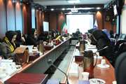 جلسه توجیهی مسئولین پایگاه های سلامت تحت پوشش شبکه بهداشت و درمان اسلامشهر
