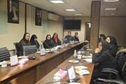برگزاری کارگاه اخلاق سازمانی در دانشکده پیراپزشکی