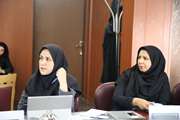 جلسه هم اندیشی معاونت غذا و دارو با معاونین قطب ده آمایشی