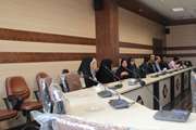 برگزاری آخرین جلسه سال 95  هیات رئیسه  دانشکده داروسازی با حضور اکثریت اعضای هیات علمی